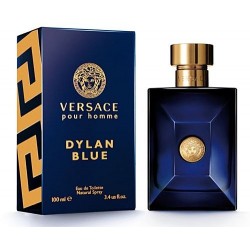 Versace DYLAN BLUE Pour Homme Eau De Toilette 100ml photo